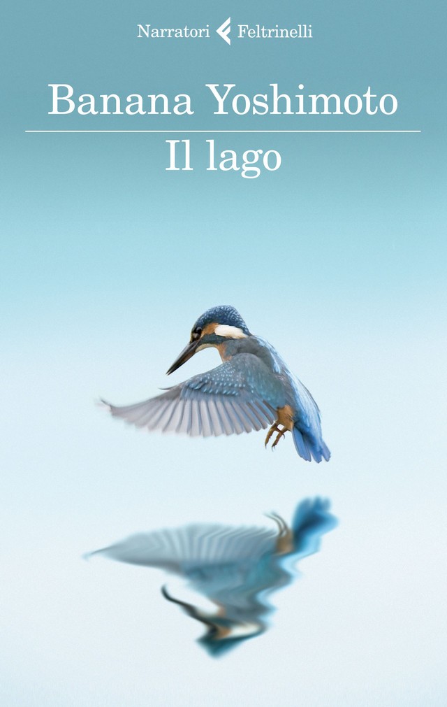 Risultati immagini per il lago copertina