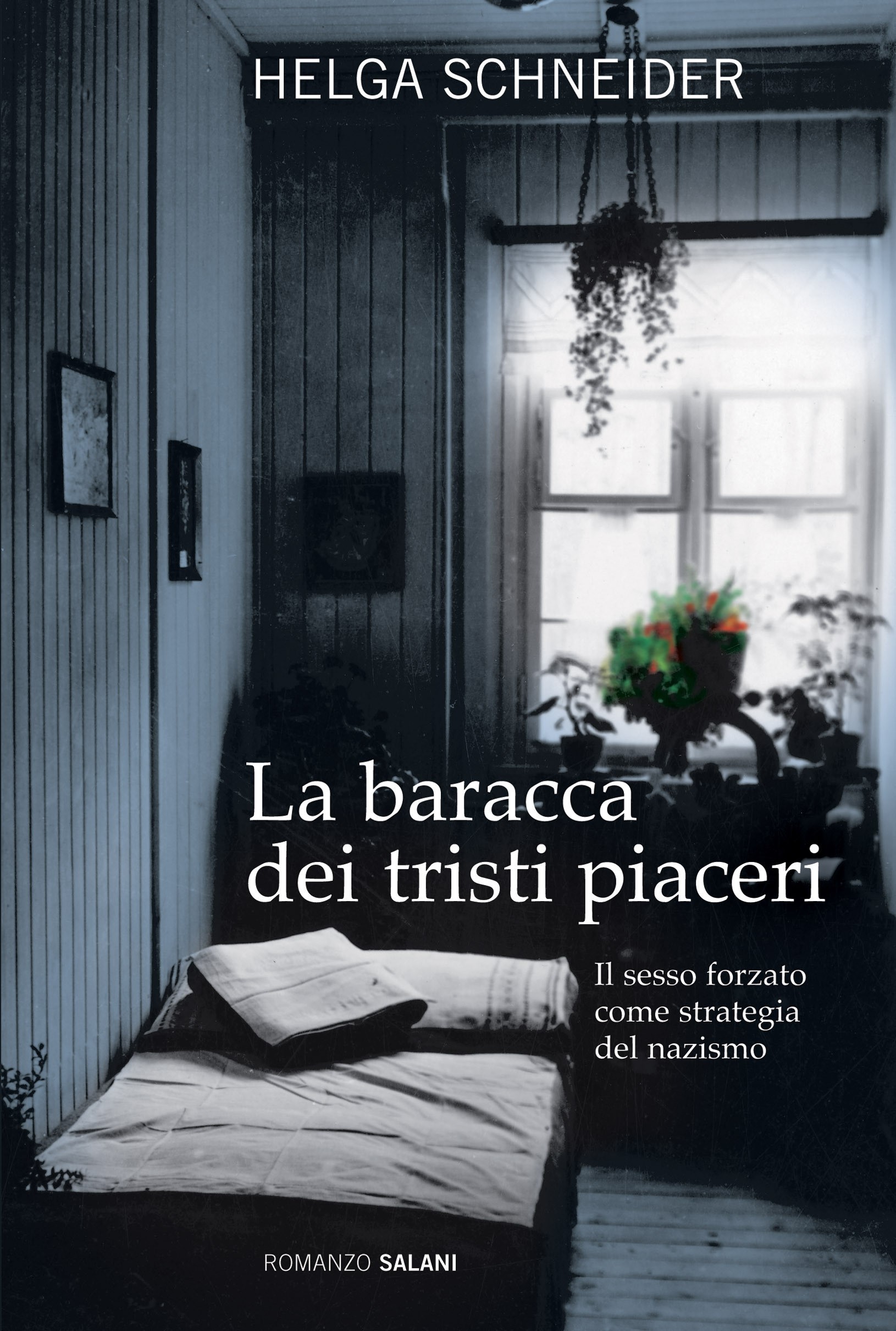 La baracca dei tristi piaceri - copertina