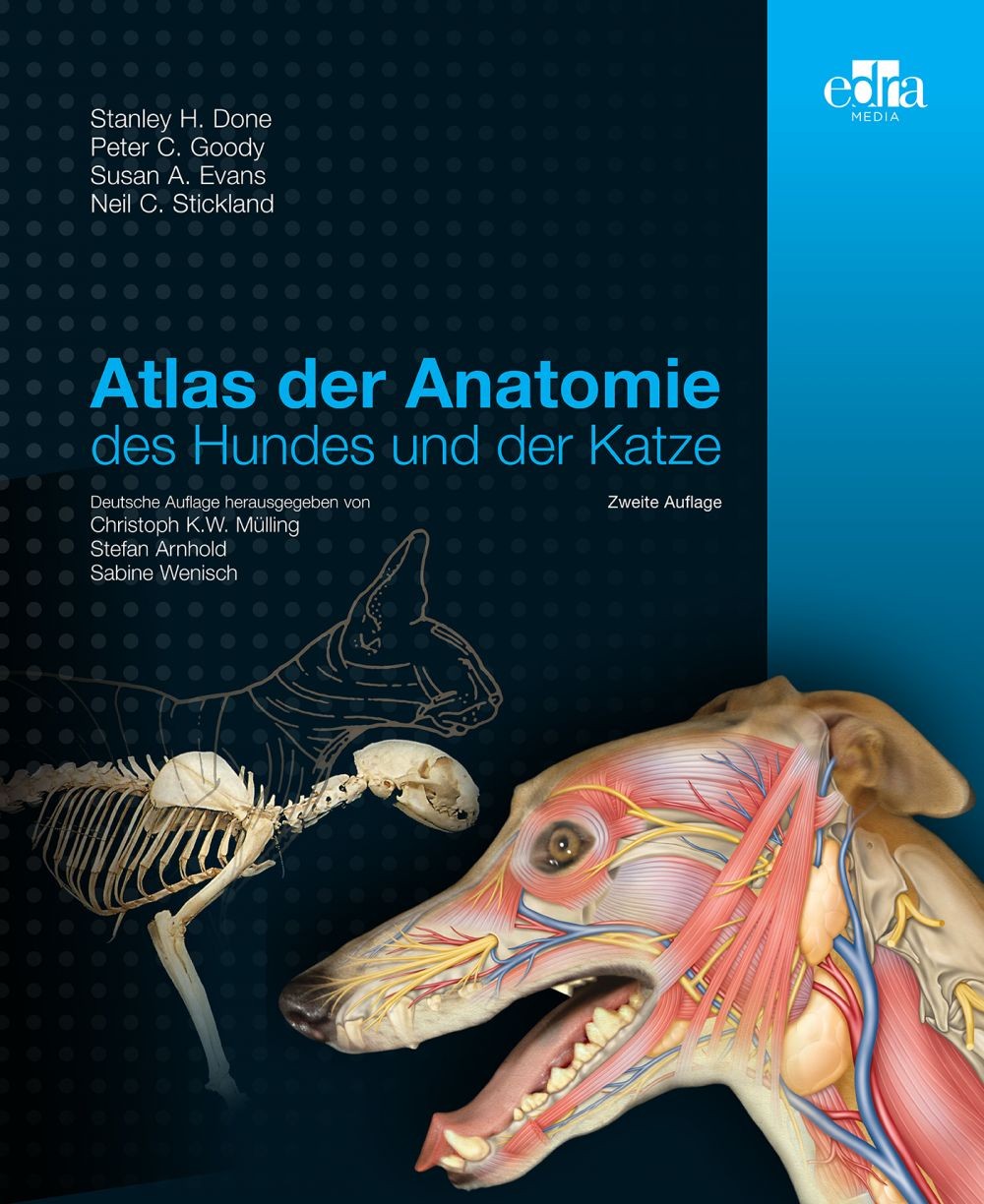 Atlas der Anatomie des Hundes und der Katze - Librerie.coop