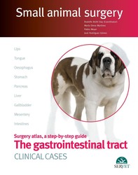 Small Animal Surgery. The gastrointestinal tract. Clinical cases - Librerie.coop