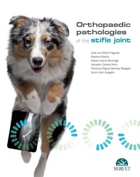 Orthopaedic pathologies of the stifle joint - Librerie.coop