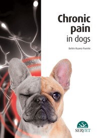 Chronic Pain in Dogs - Librerie.coop