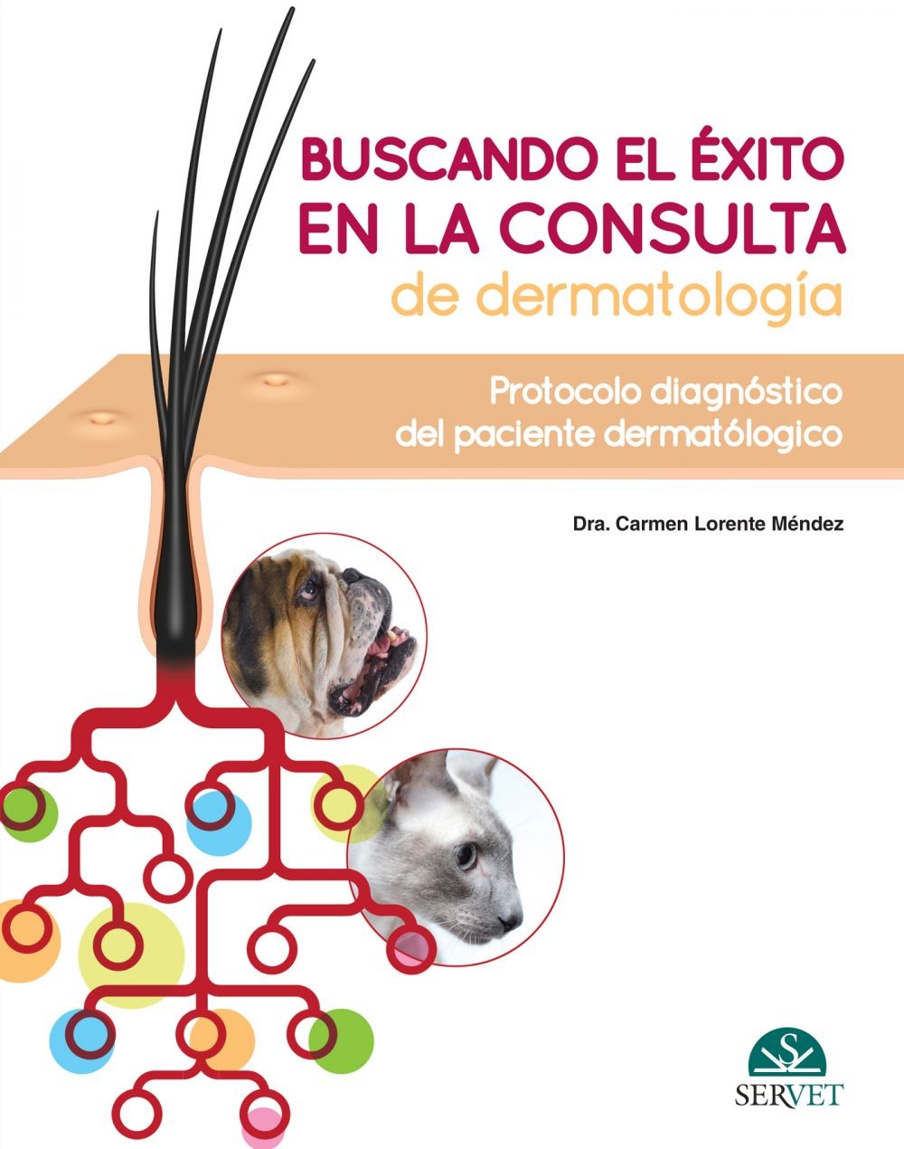 Buscando el éxito en la consulta de dermatología: Protocolo diagnóstico del paciente dermatólogico - Librerie.coop