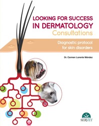 Looking for Success in Dermatology Consultations. Diagnostic Protocol for Skin Disorders - Librerie.coop