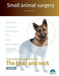 Small Animal Surgery. The Head and Neck. Vol. II - Librerie.coop