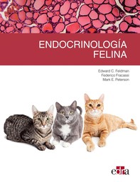 Endocrinología felina - Librerie.coop