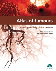 Atlas of tumours. Oncology in daily clinical practice - Librerie.coop