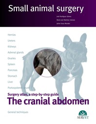 Small Animal Surgery. The Cranial Abdomen - Librerie.coop