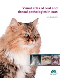 Visual Atlas of Oral and Dental Pathologies in Cats - Librerie.coop