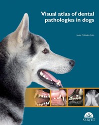 Visual Atlas of Dental Pathologies in Dogs - Librerie.coop