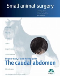 Small Animal Surgery. The Caudal Abdomen - Librerie.coop