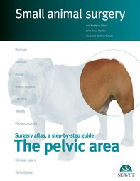 Small Animal Surgery. The Pelvic Area - Librerie.coop