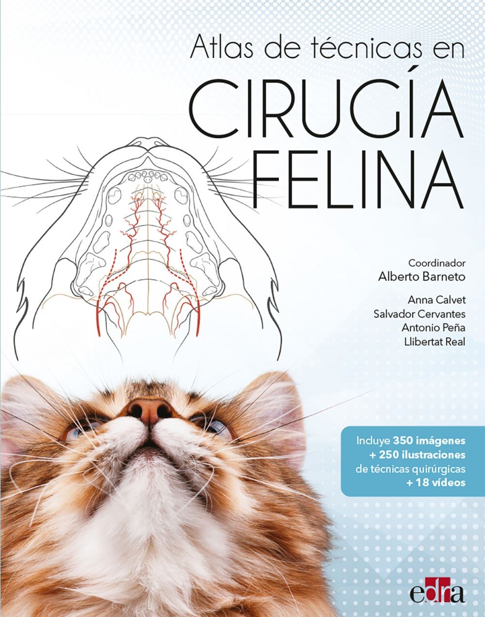 Atlas de técnicas en cirugía felina - Librerie.coop