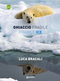 Ghiaccio fragile / Fragile Ice - Librerie.coop