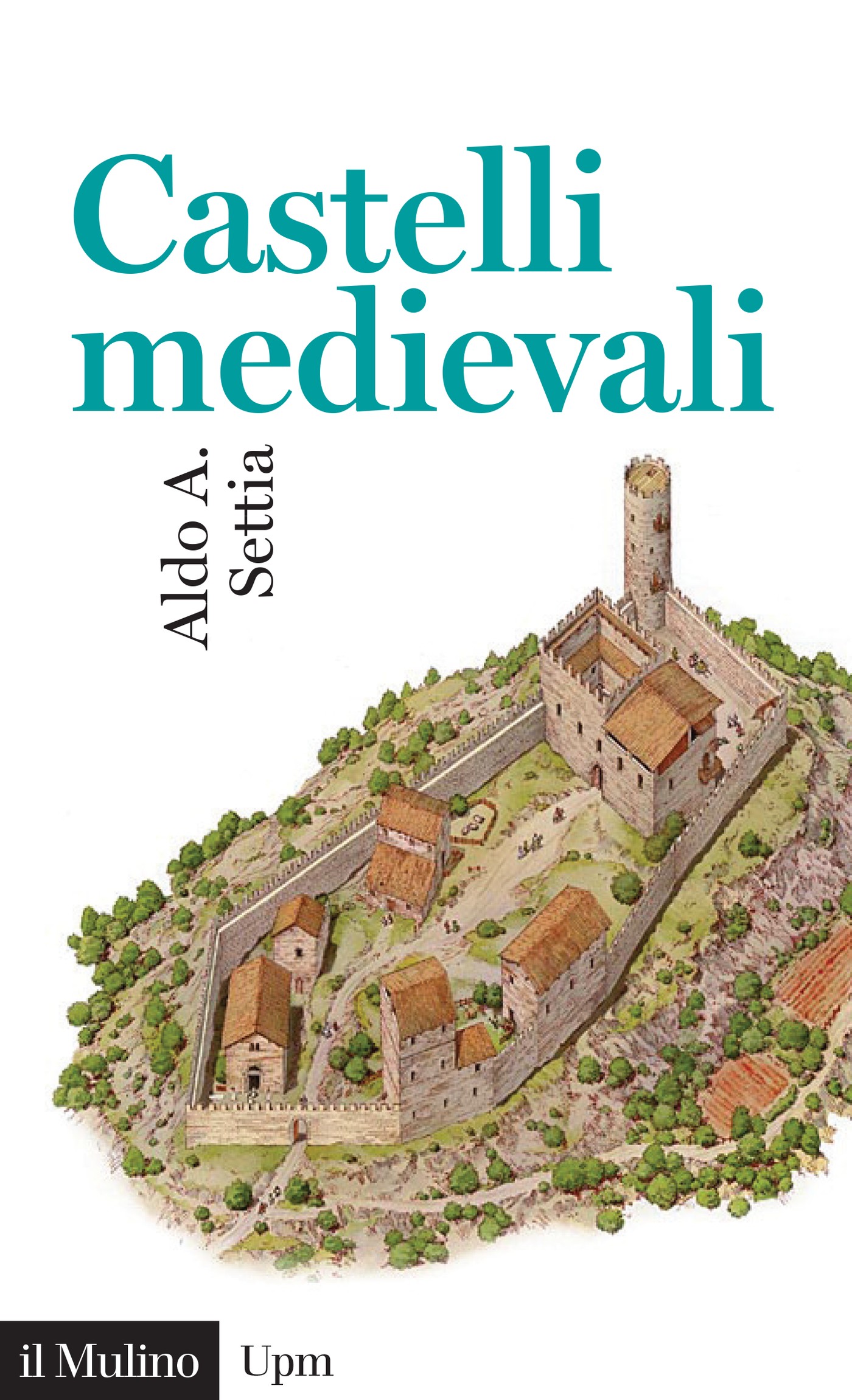 Castelli medievali - Librerie.coop