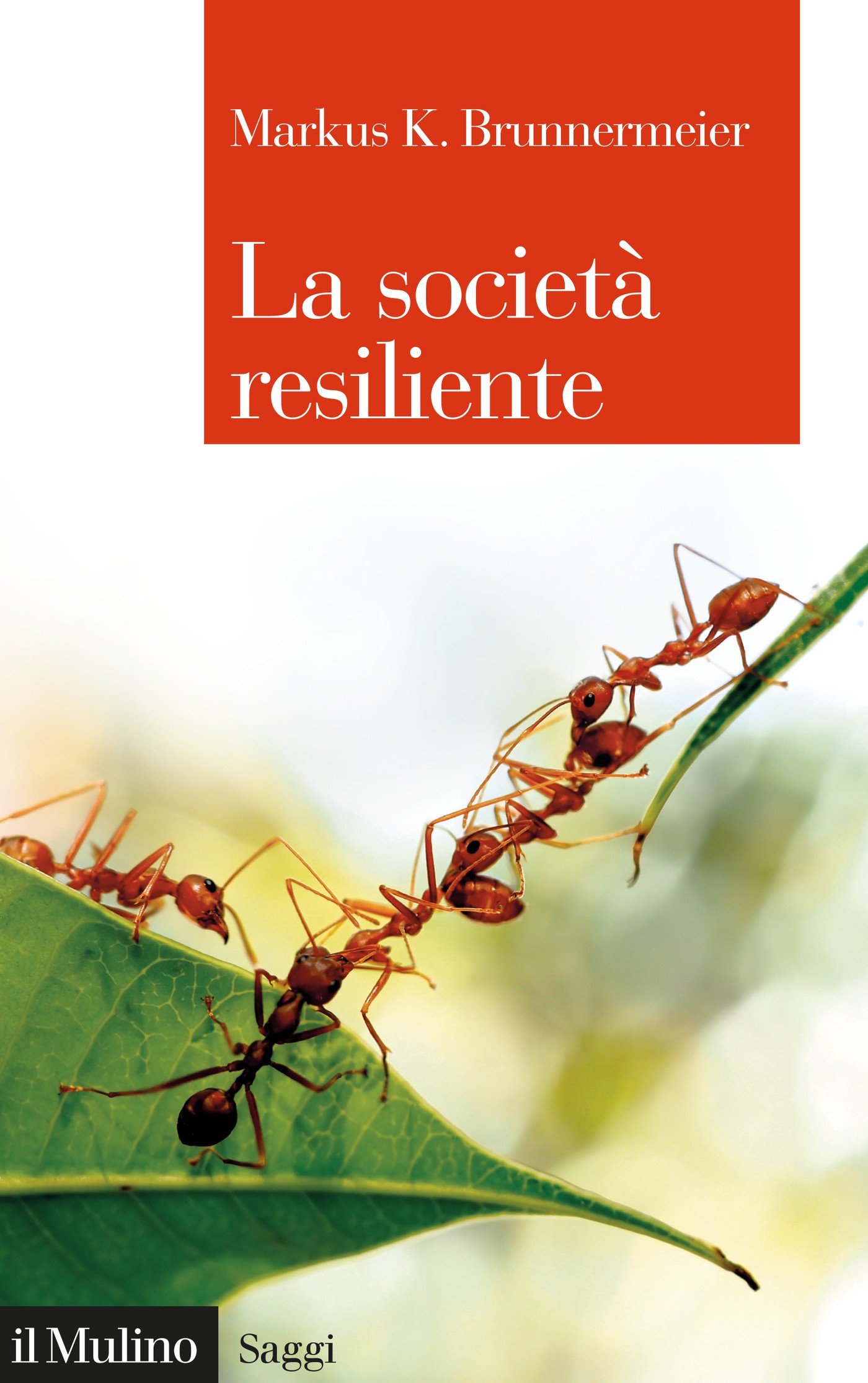 La società resiliente - Librerie.coop