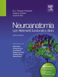 Neuroanatomia con riferimenti funzionali e clinici - Librerie.coop