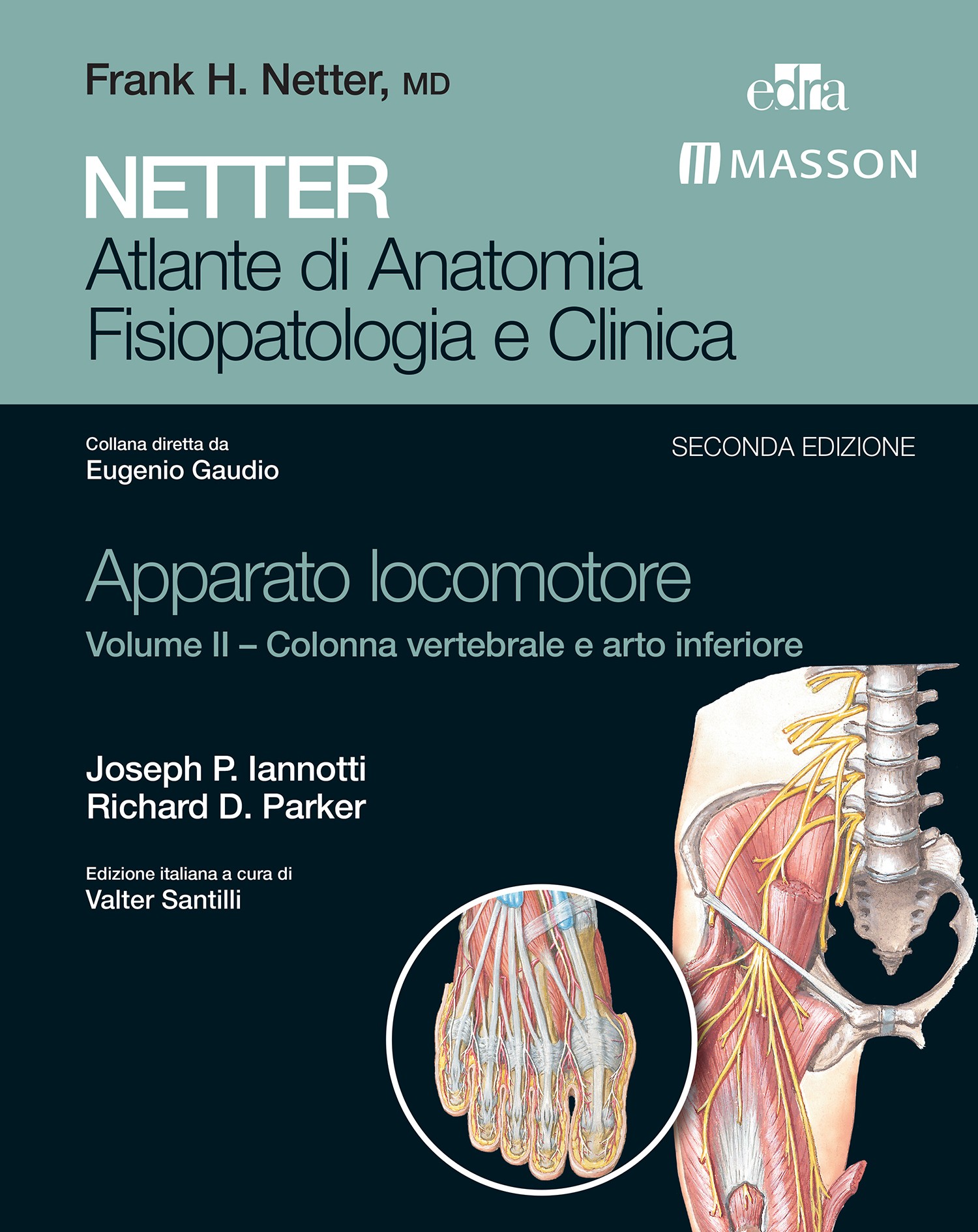 NETTER Atlante di Anatomia Fisiopatologie e Clinica: Apparato Locomotore. Volume II – Colonna Vertebrale e Arto Inferiore - Guid - Librerie.coop