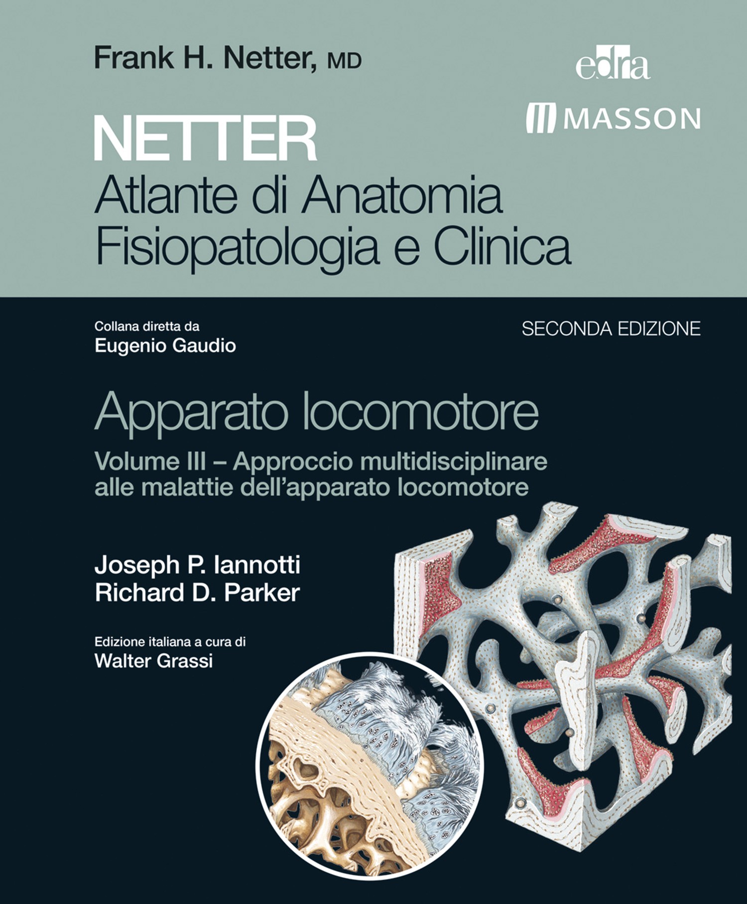 NETTER Atlante di Anatomia Fisiopatologica e Clinica - Apparato Locomotore III - Librerie.coop