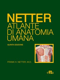 NETTER Atlante di anatomia umana - Librerie.coop