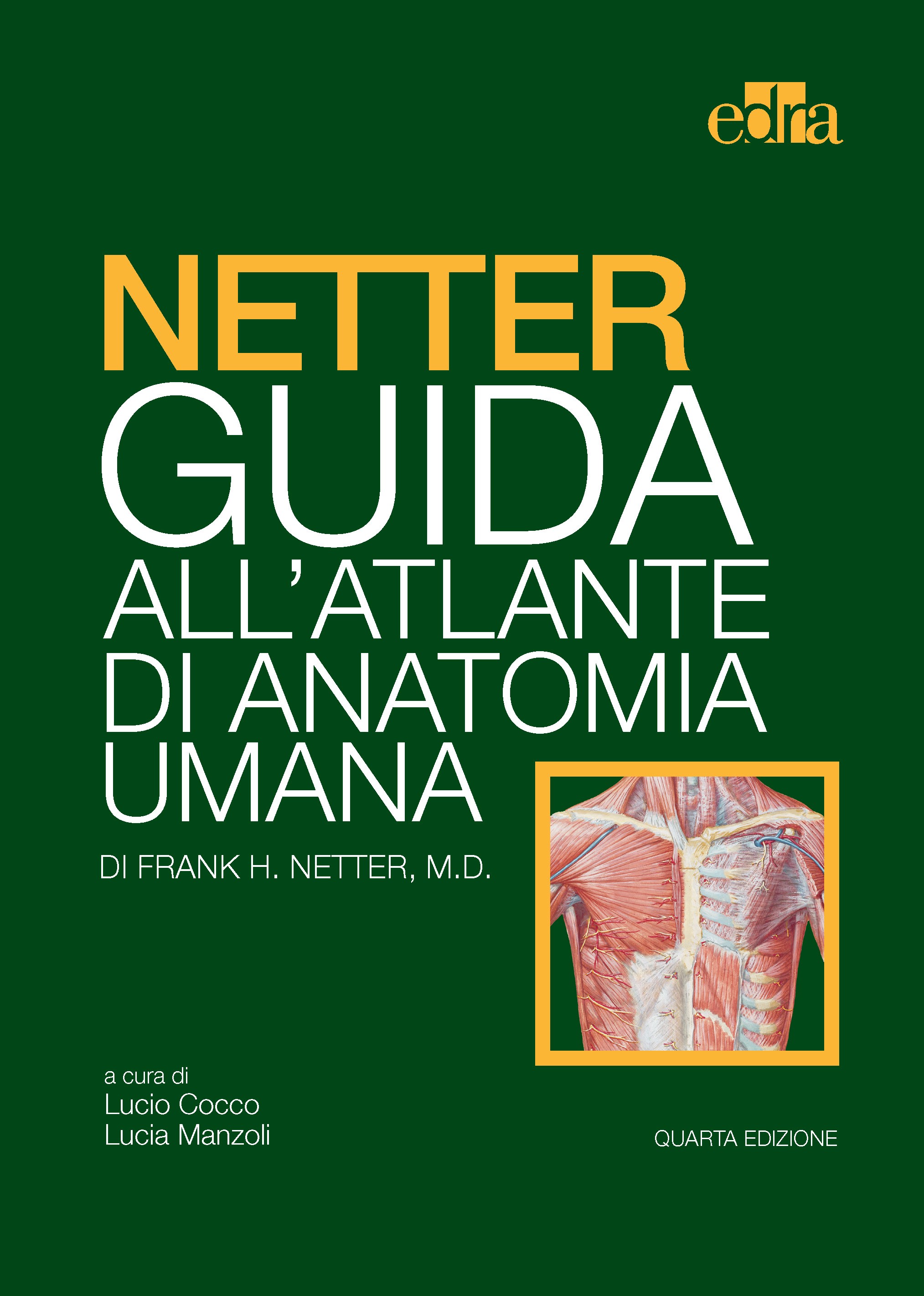 Netter Guida dell'Atlante di Anatomia Umana - Librerie.coop
