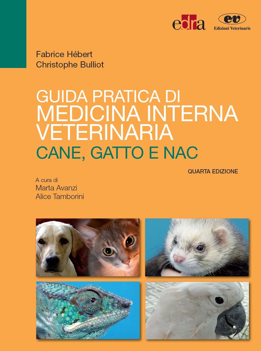 Guida pratica di medicina interna veterinaria - Librerie.coop