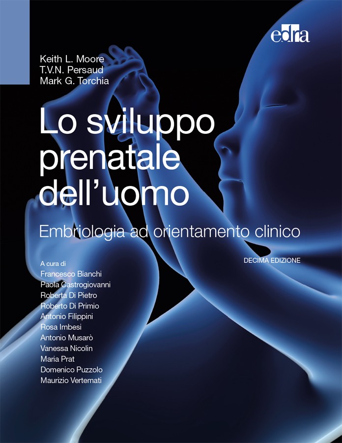 Lo sviluppo prenatale dell’uomo - Librerie.coop