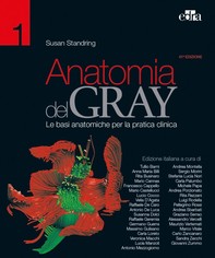 Anatomia del Gray 41 ed. - Librerie.coop