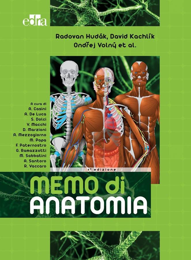 Memo di Anatomia - Librerie.coop