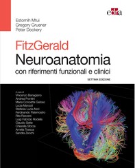 Fitzgerald Neuroanatomia - Librerie.coop