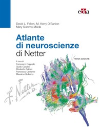 Atlante di neuroscienze di Netter - 3 ed. - Librerie.coop