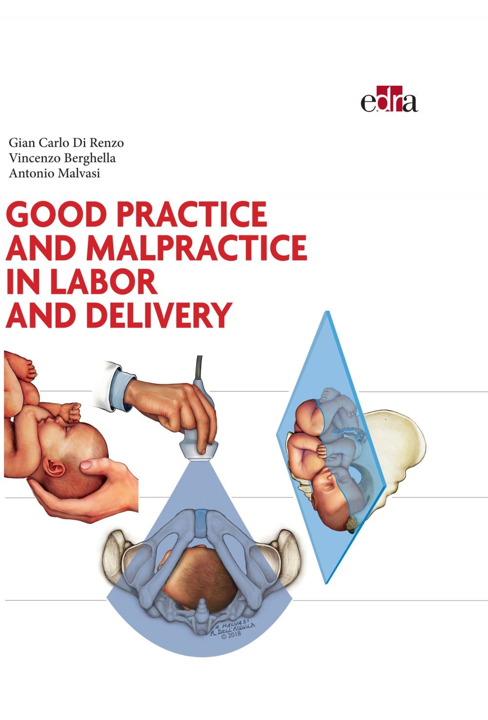 Good practice and malpractice in labor and delivery - Librerie.coop