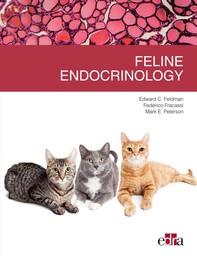 Feline endocrinology - Librerie.coop