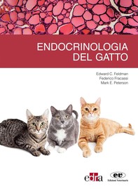Endocrinologia del gatto - Librerie.coop