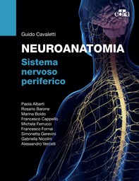 NEUROANATOMIA Sistema nervoso periferico - Librerie.coop