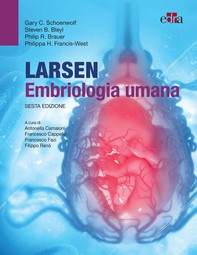 Larsen - Embriologia umana - Librerie.coop