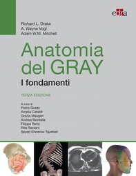 Anatomia del Gray. I fondamenti - Librerie.coop