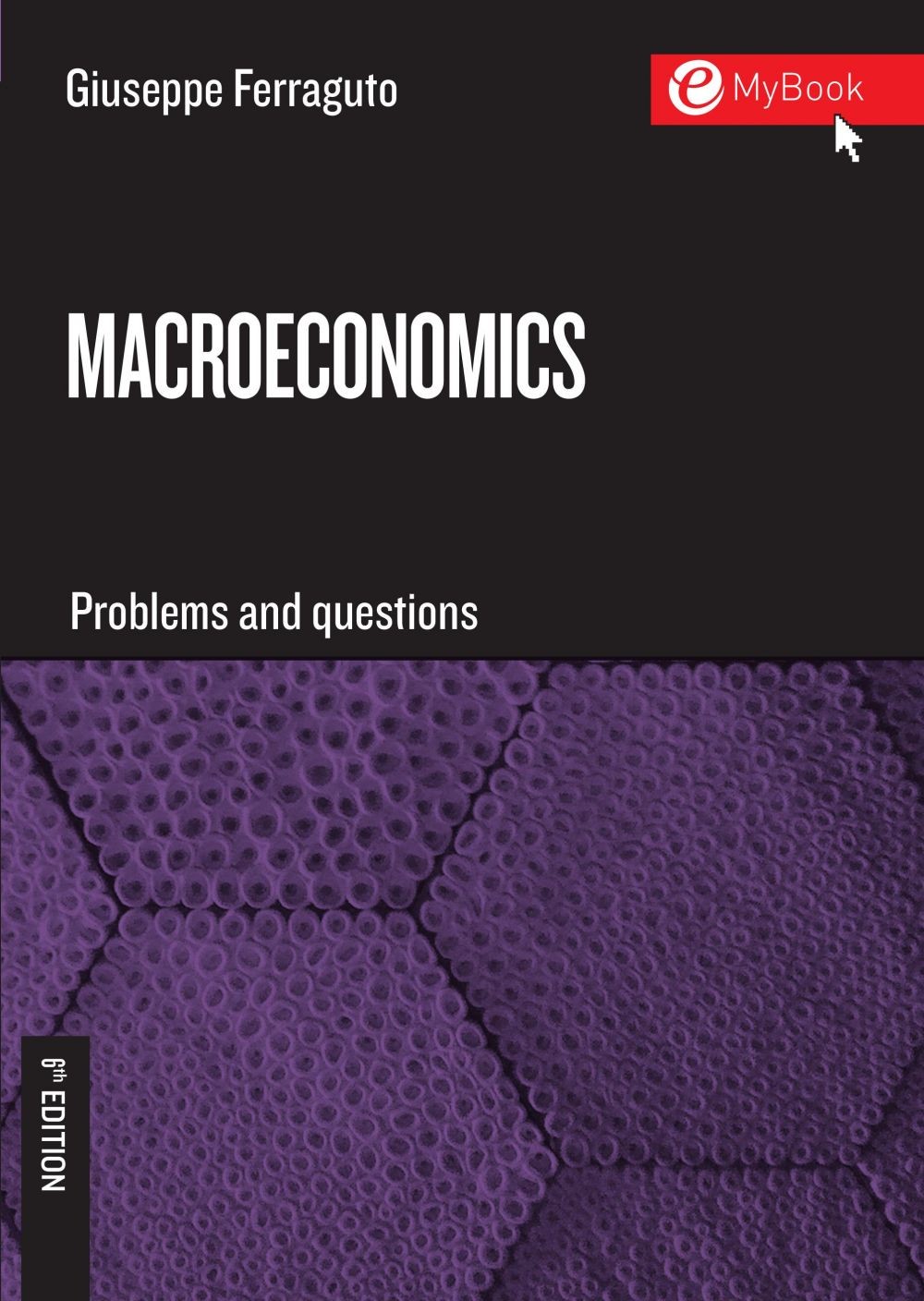 Macroeconomics. Problems and Questions - Sixth Edition - Librerie.coop
