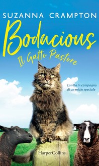 Bodacious - Il gatto pastore - Librerie.coop
