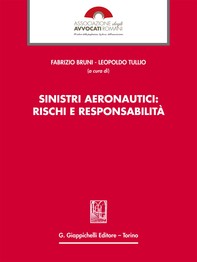 Sinistri aeronautici: rischi e responsabilità - Librerie.coop