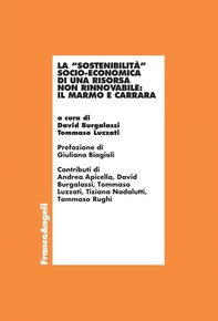 La "sostenibilità" socio-economica di una risorsa non rinnovabile: il marmo e Carrara - Librerie.coop