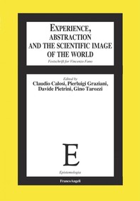 Experience, Abstraction and the Scientific Image of the World - Librerie.coop