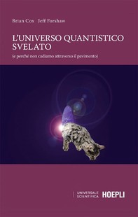 L'universo quantistico svelato - Librerie.coop
