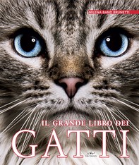 Il grande libro dei gatti - Librerie.coop