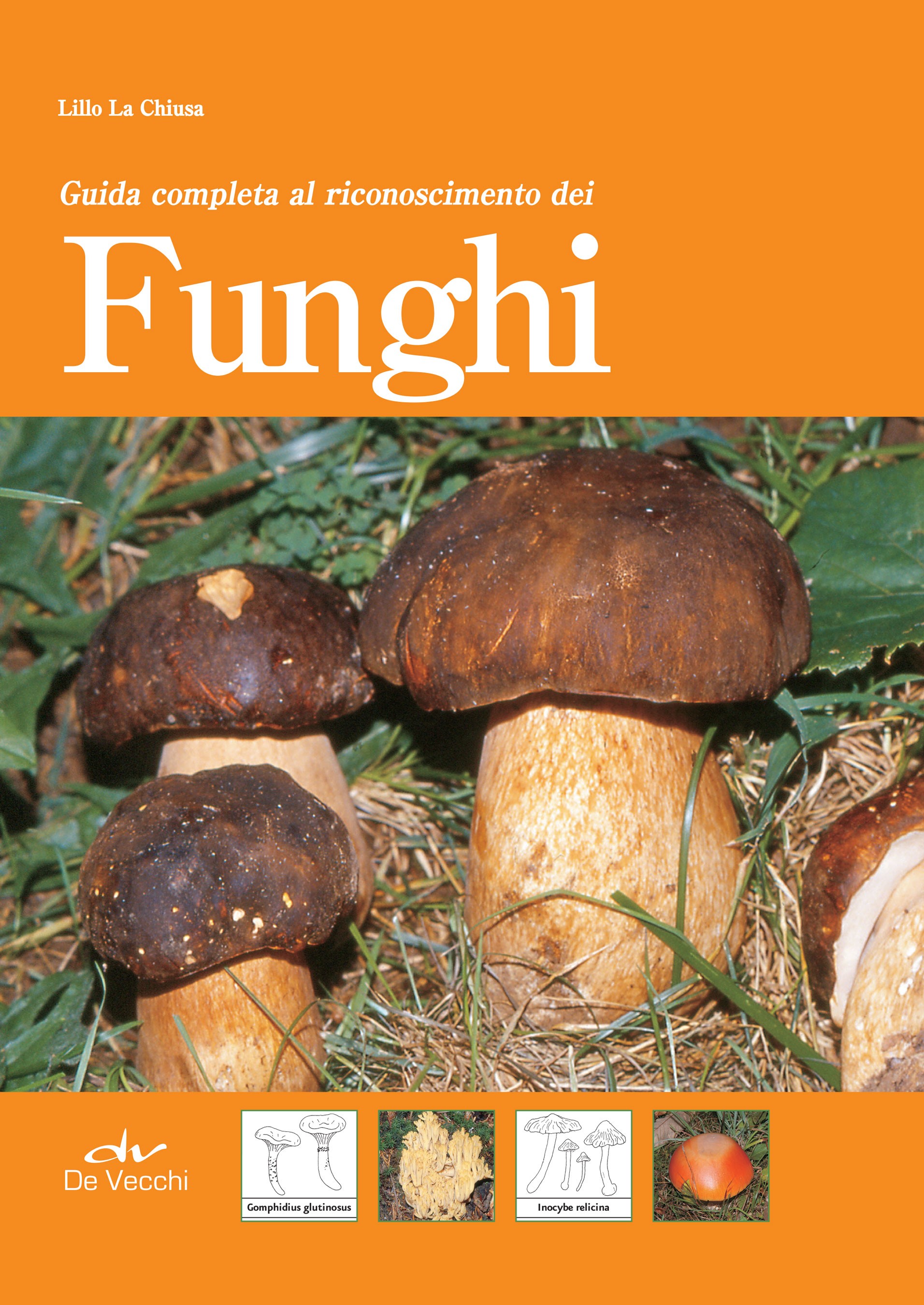 Guida completa al riconoscimento dei funghi - Librerie.coop