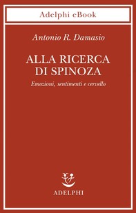 Alla ricerca di Spinoza - Librerie.coop