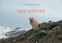 High altitude - Librerie.coop