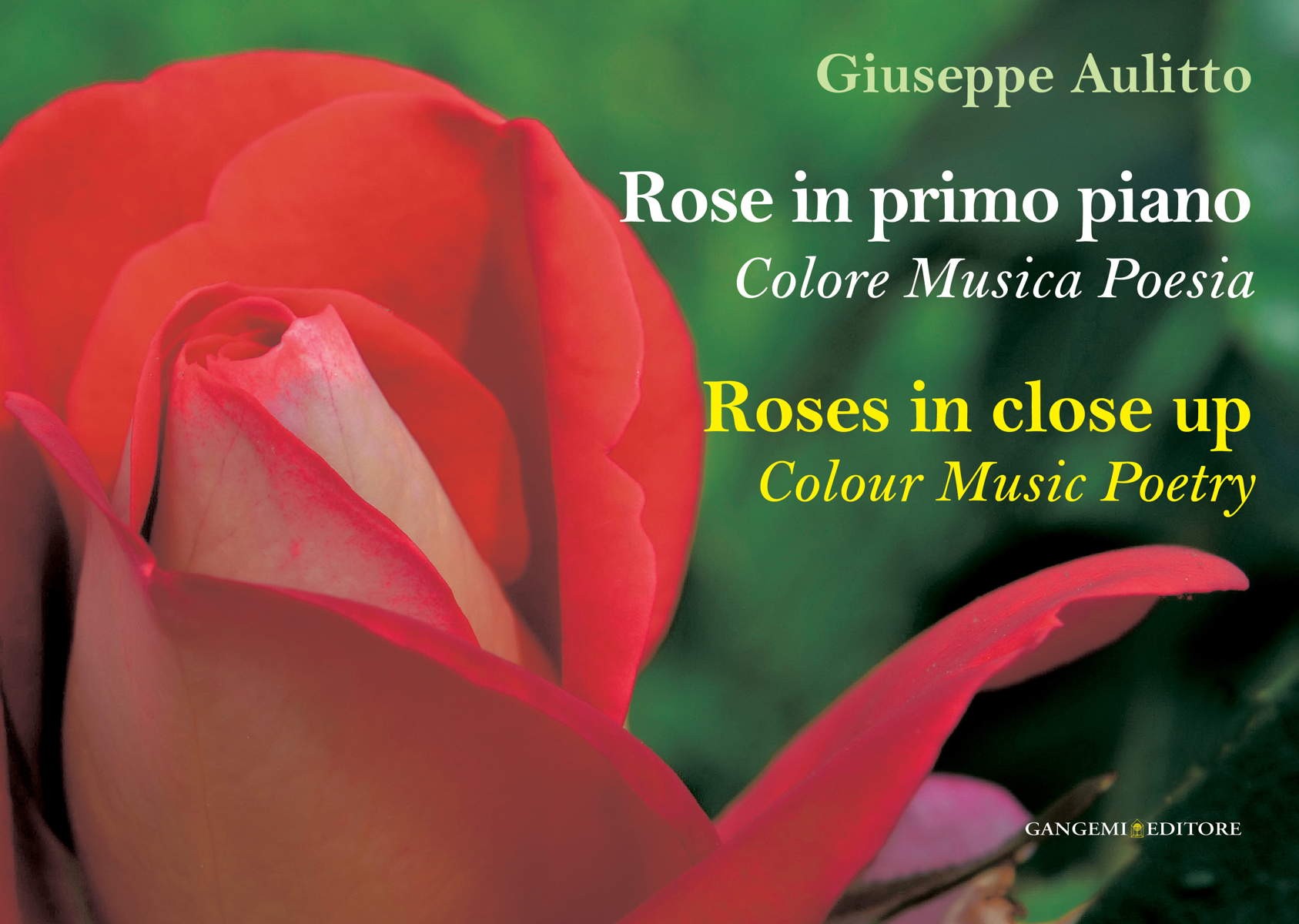 Rose in primo piano - Roses in close up - Librerie.coop