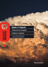 Napoli e il gigante - Librerie.coop