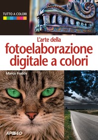 L'arte della fotoelaborazione digitale a colori - Librerie.coop